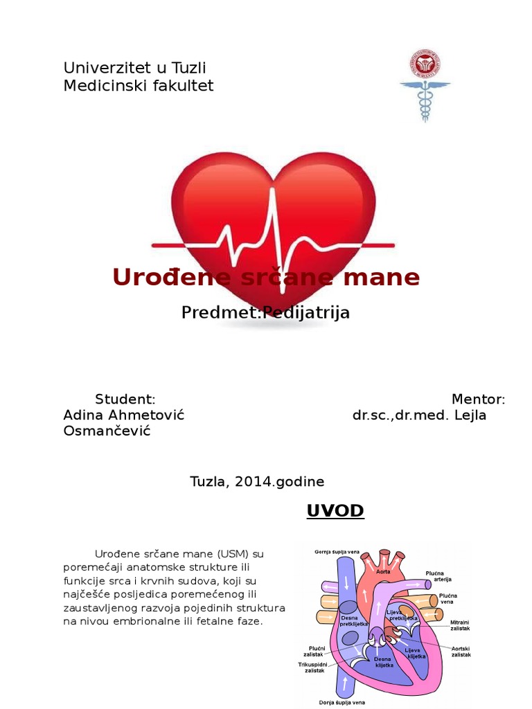 Dijagnoza i posljedice hipertenzije - PLIVAzdravlje